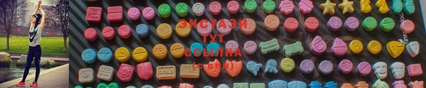 СК Алексин