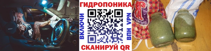 где можно купить   Староминская  Канабис Amnesia 